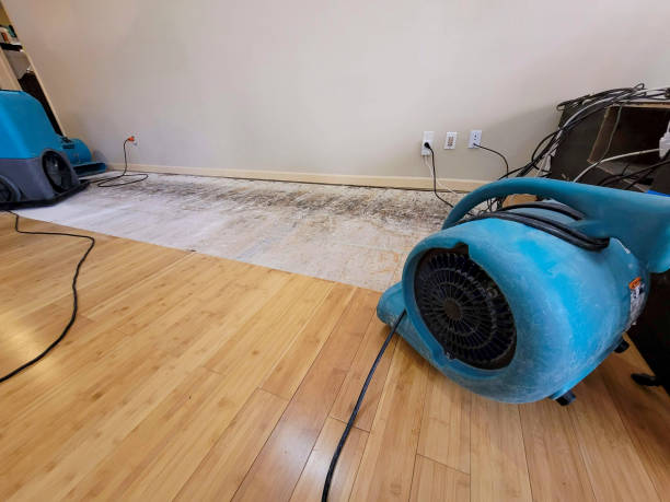 Professional Flood Damage Cleanup technician working in Wheatland, OK